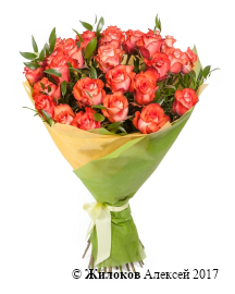 ����� ����� ������