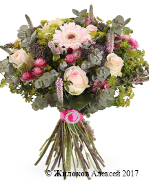 ����� ������� ���������