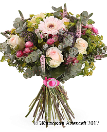 ����� ������� ���������