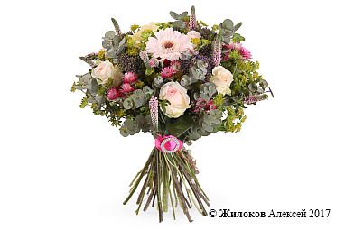 ����� ������� ���������