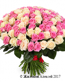 ����� ����������, 101 ����