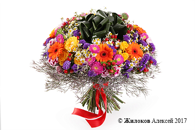 ����� ������ ��������