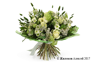 ����� ������� �������