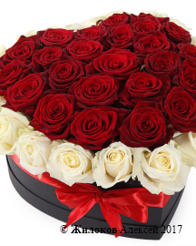 ����� ����� ������ � ������� ������� ������