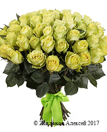 ����� 51 ���� �����