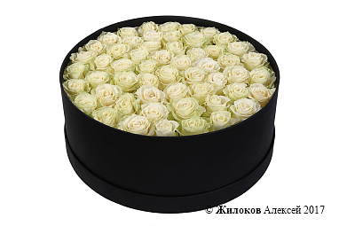 ����� 55 ��� �������� � ������� �������