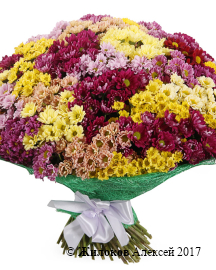 ����� 151 ���������� �������