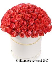 ����� 101 ���� ������ � ������� �������