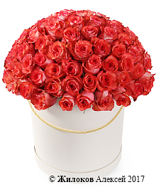 ����� 101 ���� ������ � ������� �������