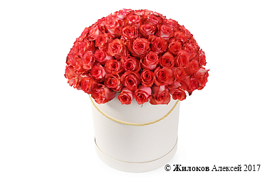 ����� 101 ���� ������ � ������� �������