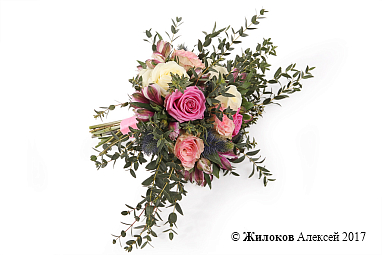 ����� ������� ����