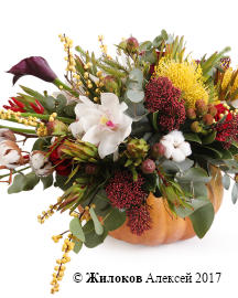 ����� ������ ����� � �����