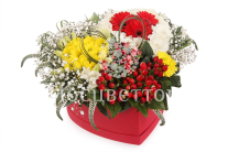 ����� ���-�-��� � ������� ������� ������