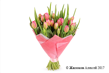 ����� 51 ����������� �������