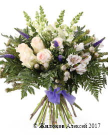 ����� �������� ��������