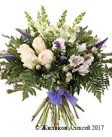 ����� �������� ��������