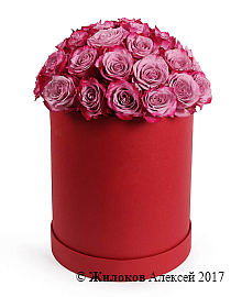 ����� ������� � ������� �������