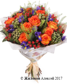 ����� �������� ������