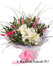 ����� �������� � ������