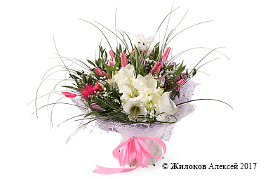 ����� �������� � ������