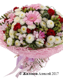 ����� ������������ �������