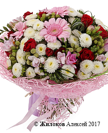 ����� ������������ �������