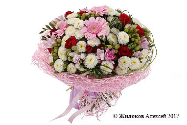 ����� ������������ �������