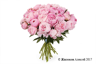 ����� �� ������ 31 ����������