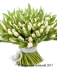 ����� 151 �������, �����