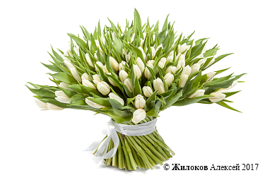 ����� 151 �������, �����