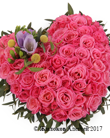 ����� ������� ������