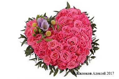 ����� ������� ������