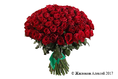 ����� 101 ���� �����