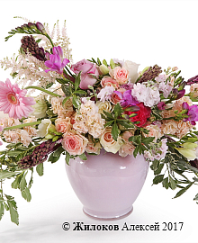 ����� ������ �������� � ����