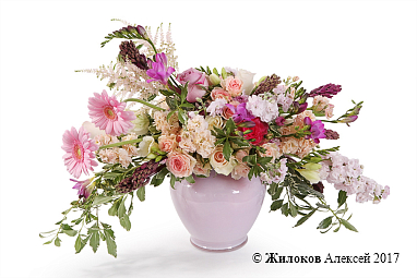 ����� ������ �������� � ����