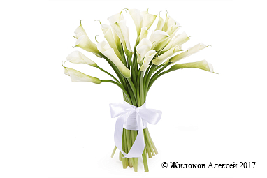 ����� ����� ����