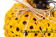 Композиция Цветочная тыква