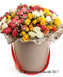 ����� ���� ���������� � ������� �������