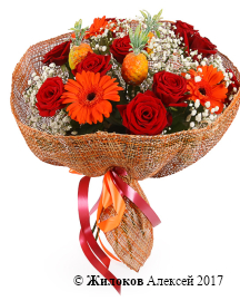 ����� ����������� ��������