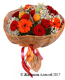 ����� ����������� ��������