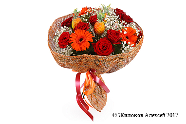 ����� ����������� ��������