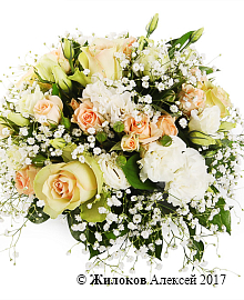 ����� ������