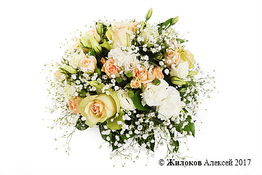 ����� ������