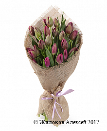 Букет Олд фэшн (25 фиолетовых тюльпанов)