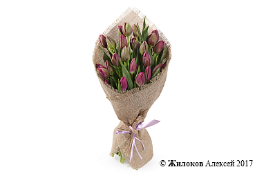 ����� ��� ���� (25 ���������� ���������)