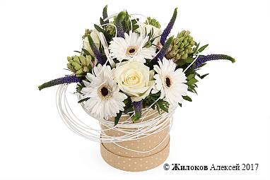 ����� ����� ������ � ������� �������