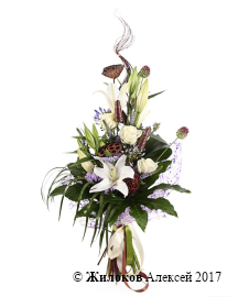 ����� ���� � �������