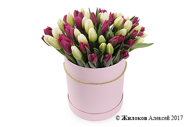 ����� 51 ����������� ������� � ������� ������� �������, ����-��������� ����