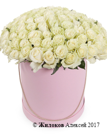 ����� 101 ���� �������� � ������� �������