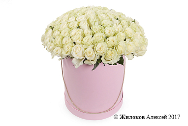 ����� 101 ���� �������� � ������� �������